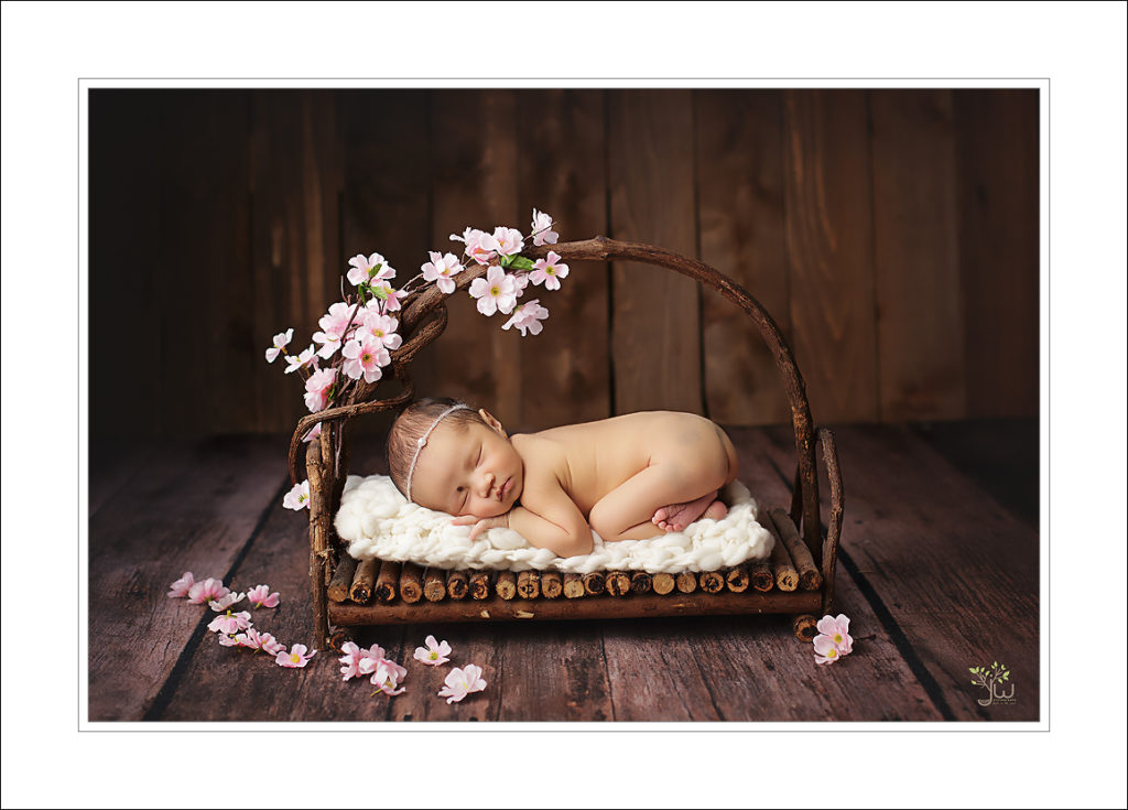 Best Seattle newborn photography